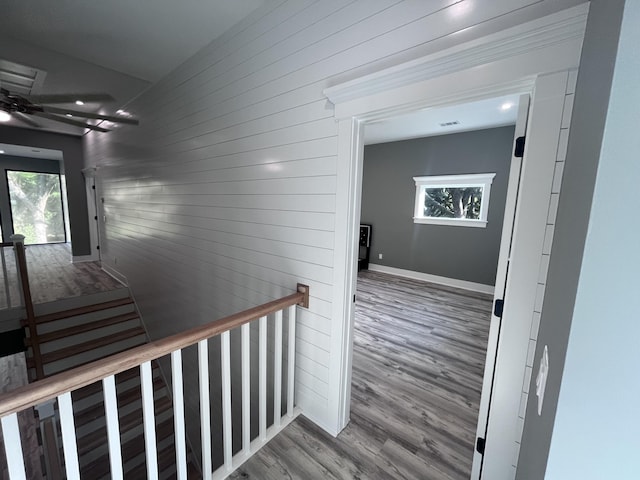 hallway featuring hardwood / wood-style floors and wooden walls