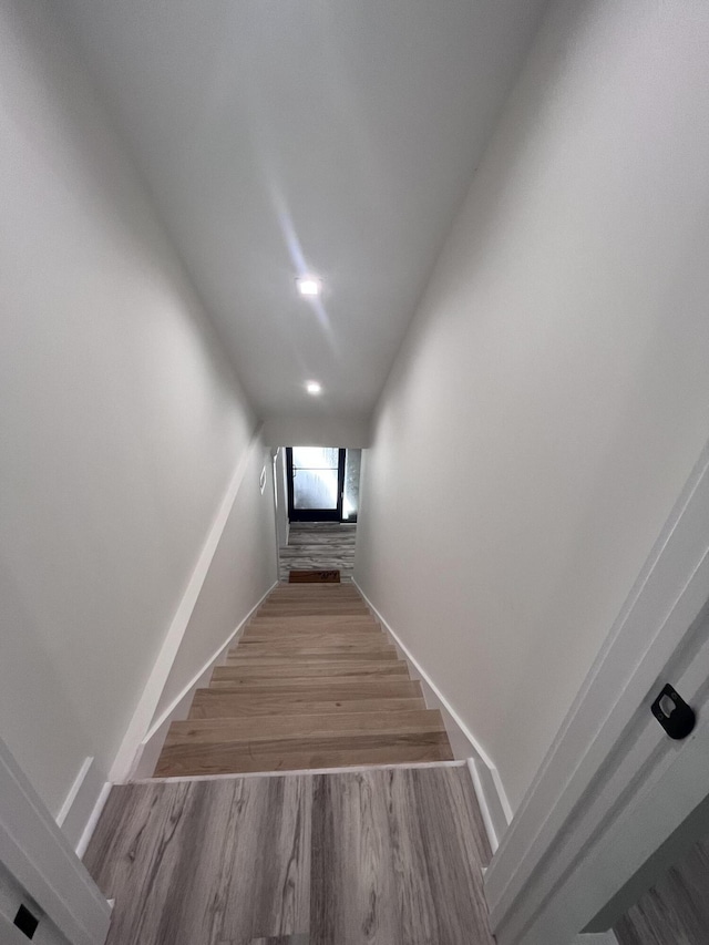 stairway with hardwood / wood-style floors