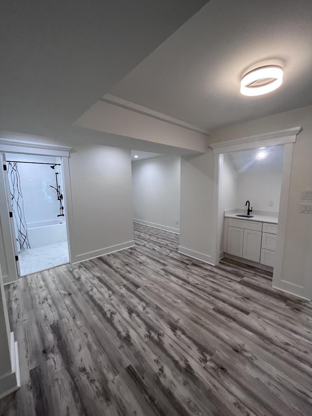 additional living space with sink and light hardwood / wood-style flooring