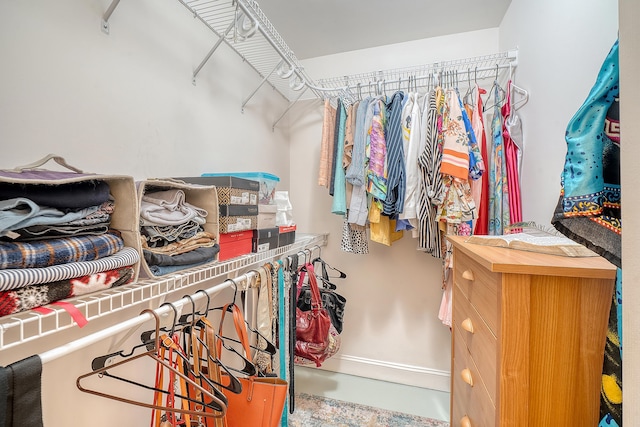 view of spacious closet