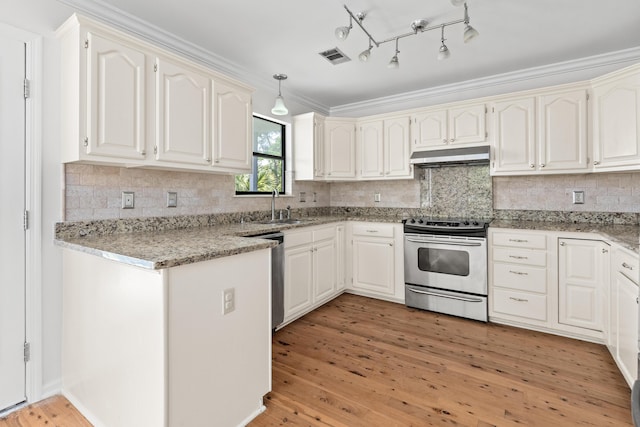 633 Stono Edge Dr, Charleston, SC 29412 - kitchen featuring appliances with stainless steel finishes, under cabinet range hood, light wood-style flooring, backsplash, and ornamental molding
