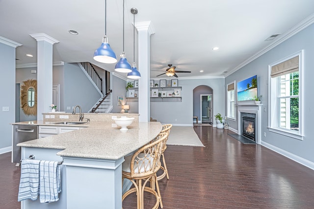 1721 Wellstead St, Mount Pleasant, SC 29466 - kitchen with open floor plan, a premium fireplace, a ceiling fan, arched walkways, and recessed lighting