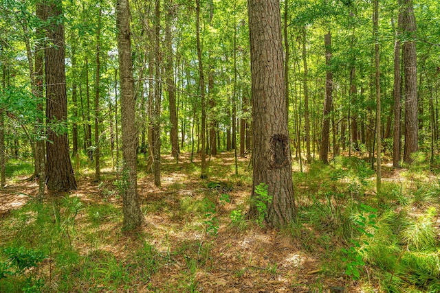 1721 Wellstead St, Mount Pleasant, SC 29466 - view of wooded area