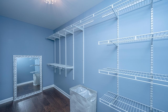 1721 Wellstead St, Mount Pleasant, SC 29466 - spacious closet featuring wood finished floors
