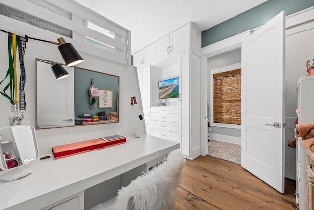 bathroom featuring hardwood / wood-style floors