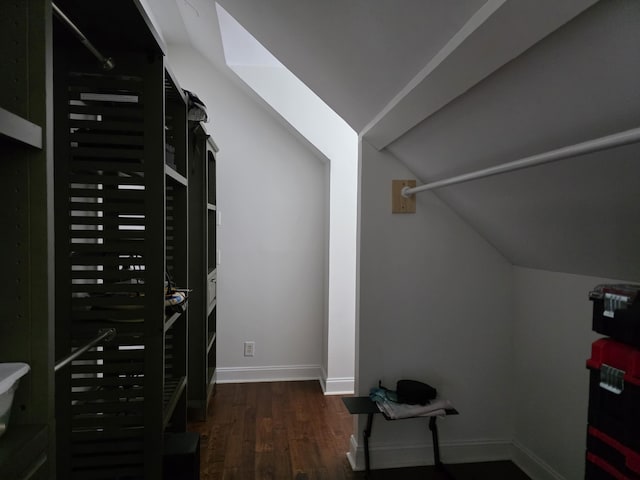 133 Wando Reach Rd, Wando, SC 29492 - walk in closet featuring dark wood-style flooring and vaulted ceiling