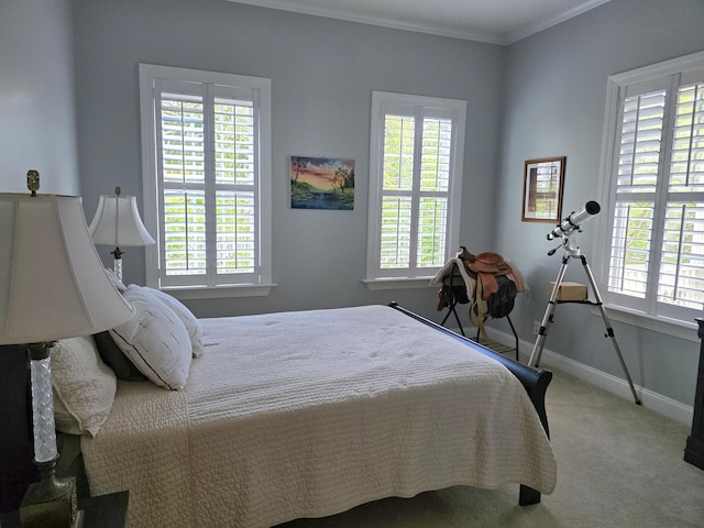 133 Wando Reach Rd, Wando, SC 29492 - bedroom with multiple windows, baseboards, and crown molding