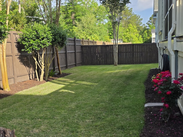 133 Wando Reach Rd, Wando, SC 29492 - view of yard