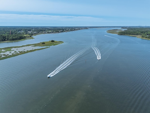 133 Wando Reach Rd, Wando, SC 29492 - bird's eye view of a large body of water