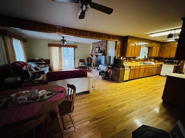 dining room with ceiling fan and light hardwood / wood-style floors