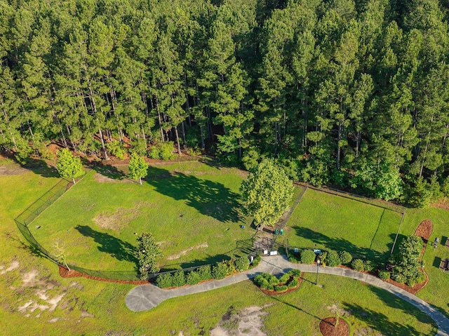 743 Redbud Ln, Summerville, SC 29486 - bird's eye view