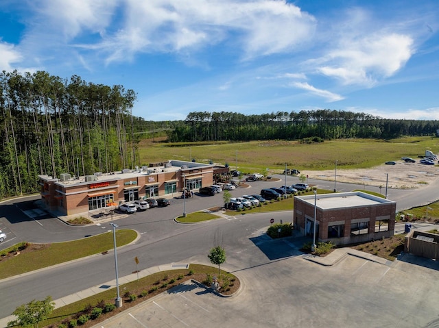 743 Redbud Ln, Summerville, SC 29486 - drone / aerial view