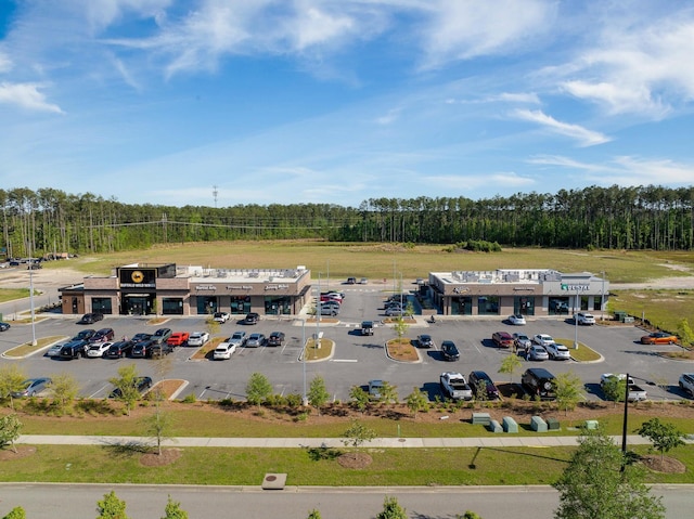 743 Redbud Ln, Summerville, SC 29486 - drone / aerial view