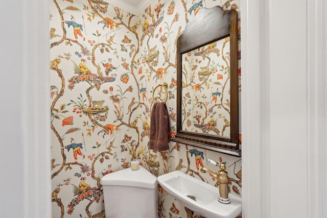 bathroom with sink and toilet