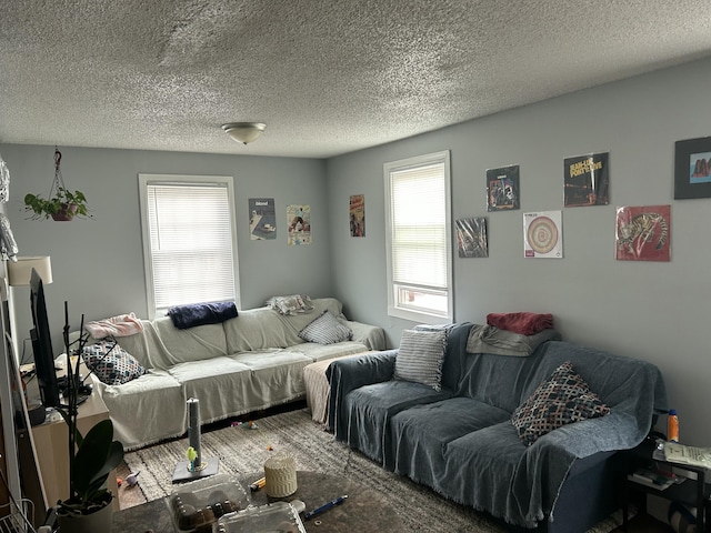 living room featuring a textured ceiling