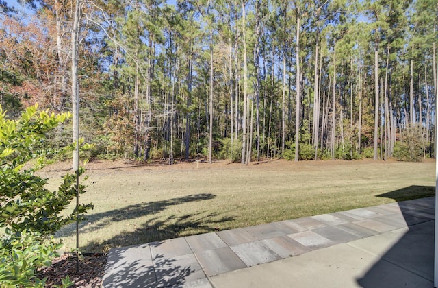 view of yard featuring a view of trees