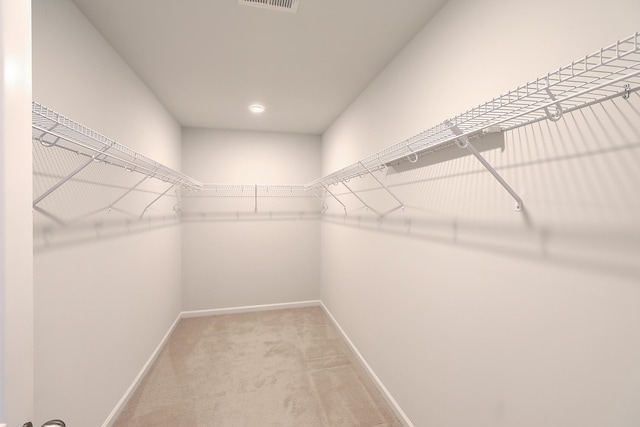 spacious closet featuring carpet floors