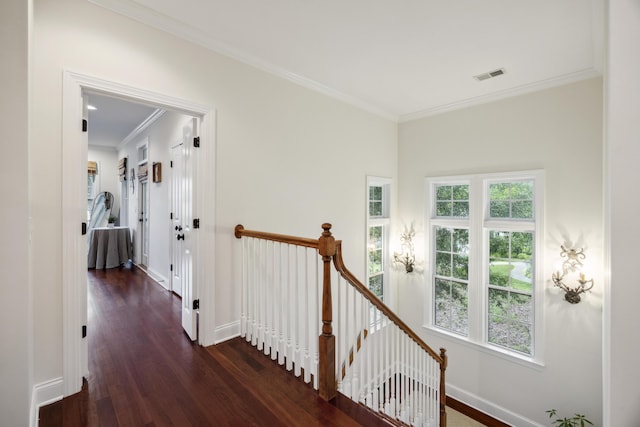 3221 Johnstowne St, Johns Island, SC 29455 - hallway featuring an upstairs landing, dark wood finished floors, plenty of natural light, and crown molding