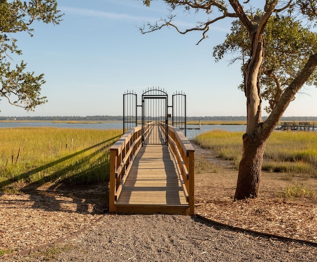 3221 Johnstowne St, Johns Island, SC 29455 - surrounding community with a water view