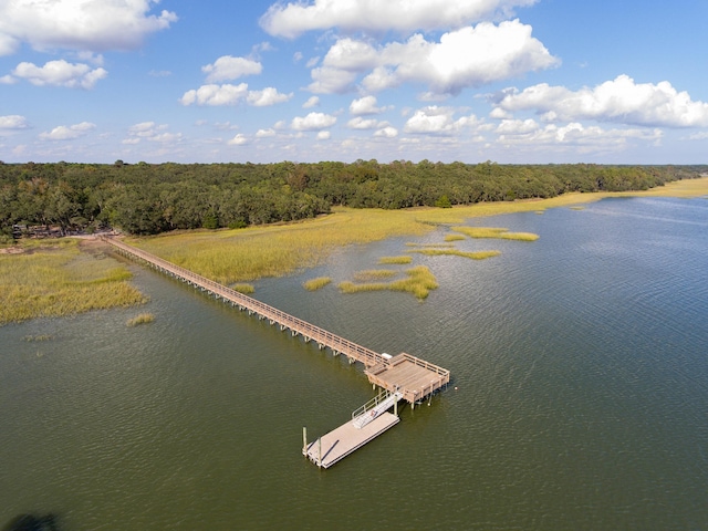 3221 Johnstowne St, Johns Island, SC 29455 - bird's eye view of a nearby body of water and a heavily wooded area