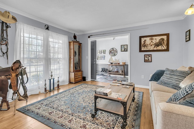 living room with wood-type flooring, crown molding, and a healthy amount of sunlight