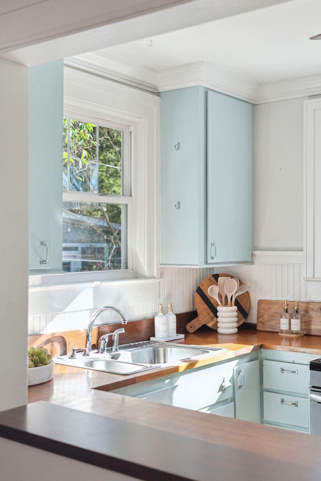 kitchen with sink and ornamental molding