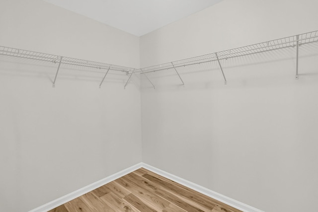 spacious closet featuring light wood finished floors