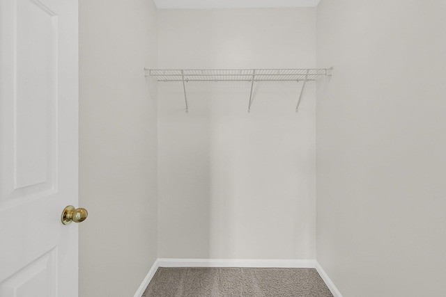 walk in closet with carpet