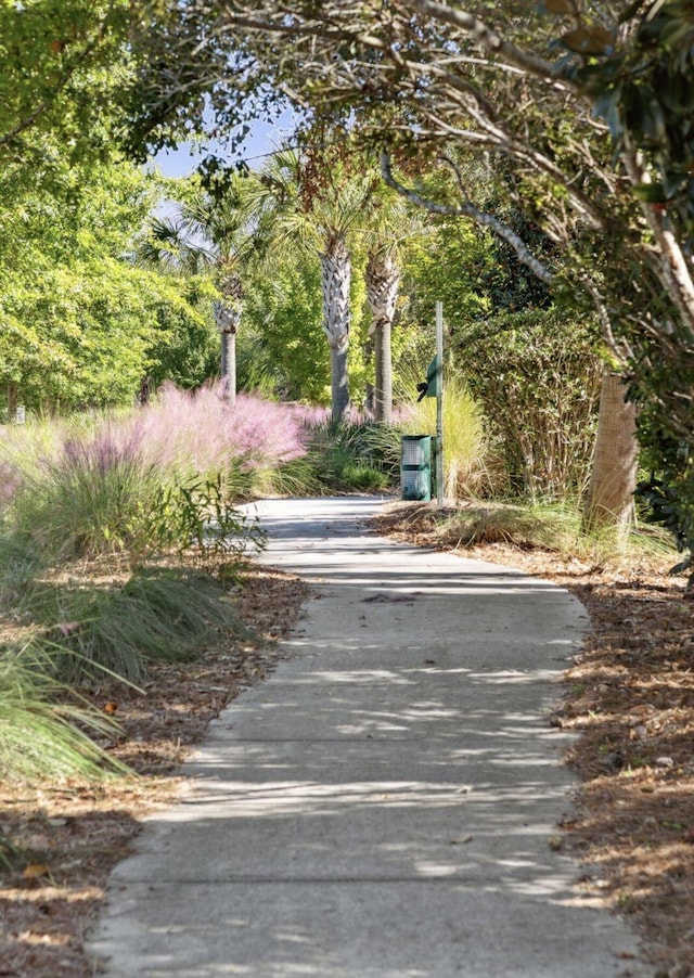 1566 Lindsey Creek Dr, Mount Pleasant, SC 29466 - view of road