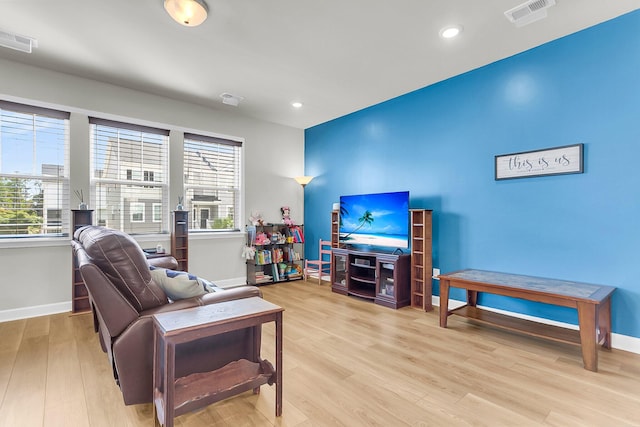 living room featuring light hardwood / wood-style floors and a healthy amount of sunlight