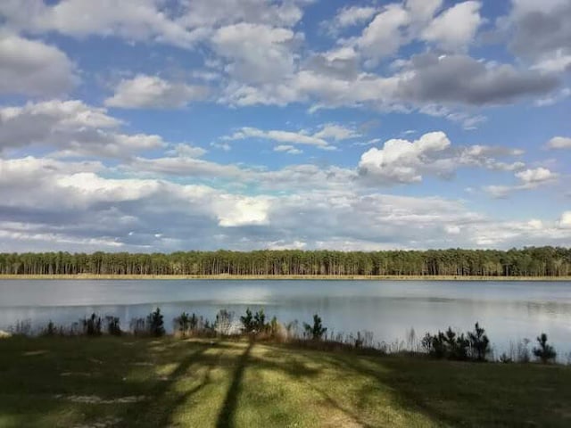 property view of water featuring a view of trees
