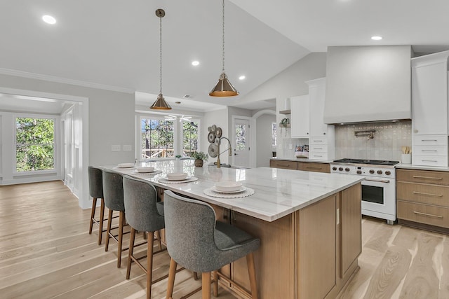 kitchen with high end range, light wood finished floors, custom exhaust hood, arched walkways, and a sink