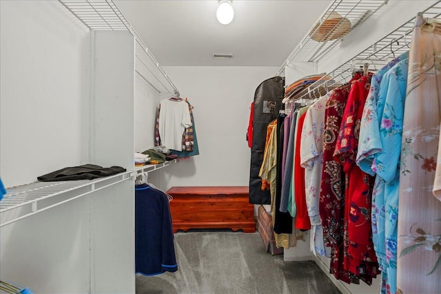 19 Cameroon Dr, Beaufort, SC 29907 - walk in closet with carpet