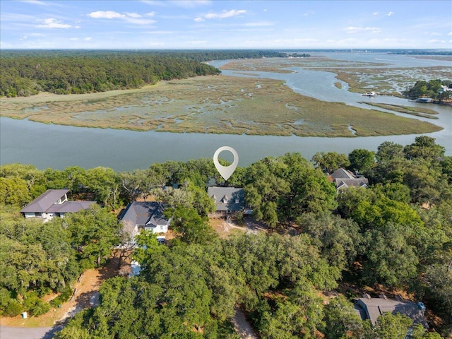 19 Cameroon Dr, Beaufort, SC 29907 - aerial view of property's location featuring a nearby body of water and a heavily wooded area