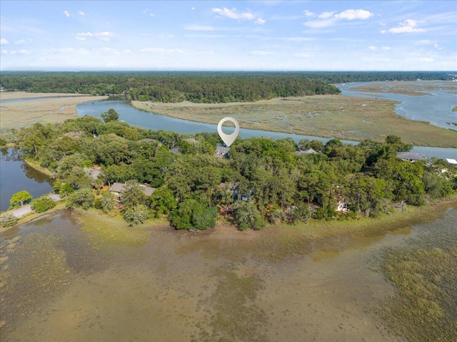 19 Cameroon Dr, Beaufort, SC 29907 - bird's eye view of a large body of water and a forest