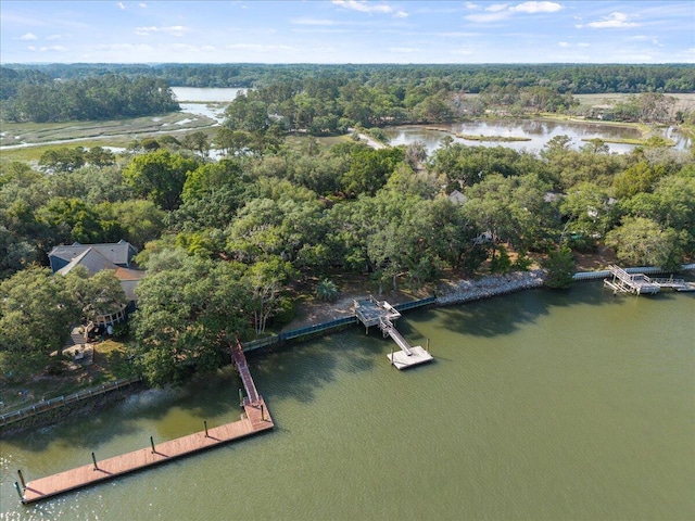19 Cameroon Dr, Beaufort, SC 29907 - aerial overview of property's location featuring a large body of water and a forest