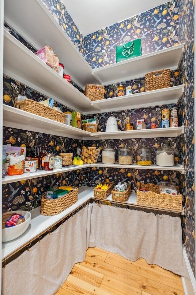 view of pantry