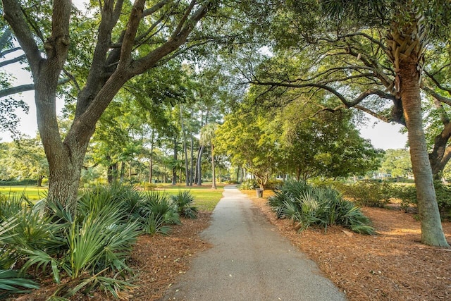 view of property's community