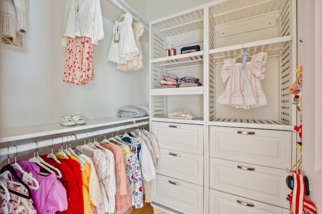 view of spacious closet