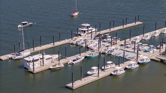 dock with a water view