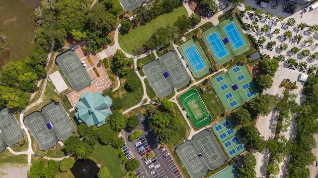 bird's eye view