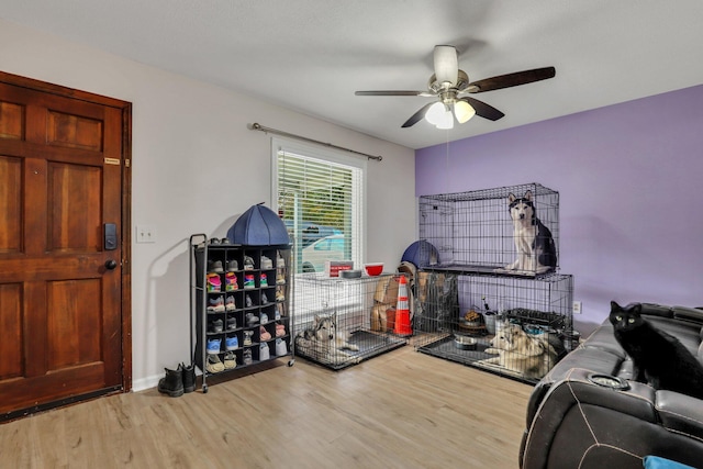 interior space featuring ceiling fan and light hardwood / wood-style floors