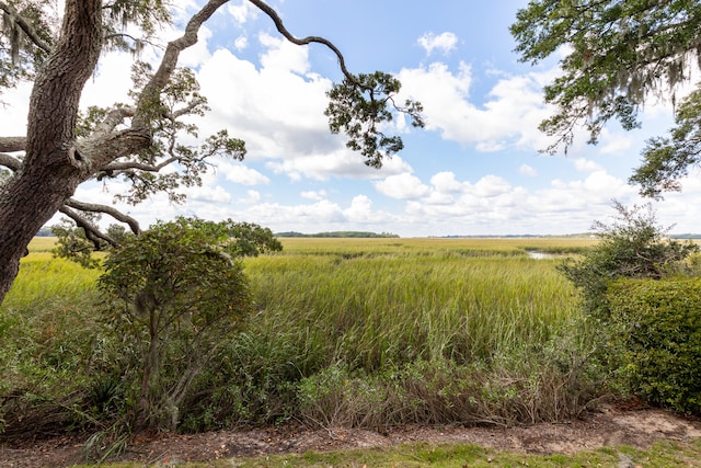 view of local wilderness with a rural view