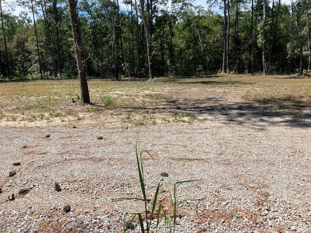 OO Wildgame Rd Lot # 3, Summerville SC, 29485 land for sale