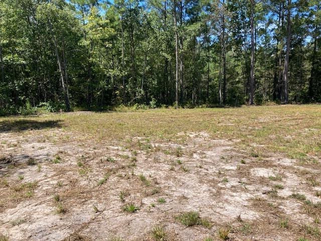 Listing photo 2 for OO Wildgame Rd Lot # 3, Summerville SC 29485