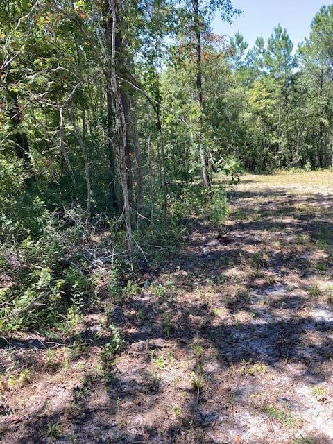 Listing photo 3 for OO Wildgame Rd Lot # 3, Summerville SC 29485