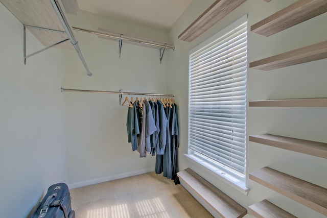 9682 Pebble Creek Blvd, Summerville, SC 29485 - walk in closet with carpet