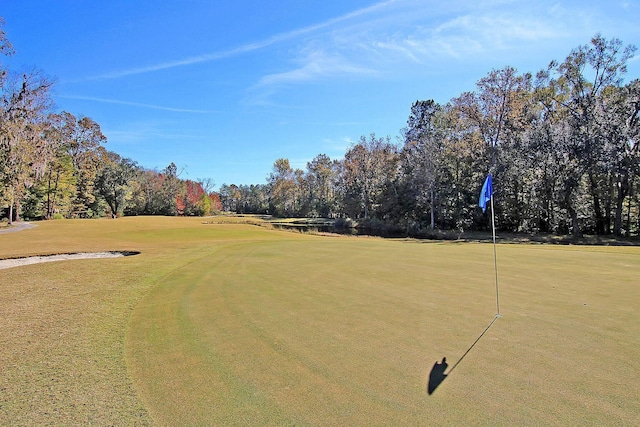 9682 Pebble Creek Blvd, Summerville, SC 29485 - view of home's community with golf course view, view of scattered trees, and a putting green