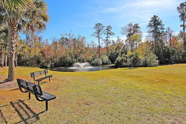 9682 Pebble Creek Blvd, Summerville, SC 29485 - view of property's community featuring a water view and a yard