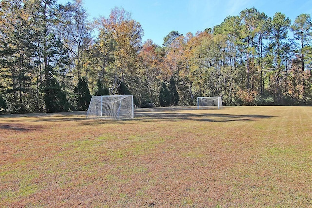 9682 Pebble Creek Blvd, Summerville, SC 29485 - view of yard featuring a sport area